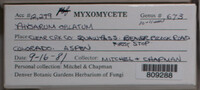 Image Associated With the Occurence